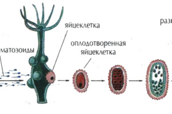 Ссылка блэкспрут bs2onion org