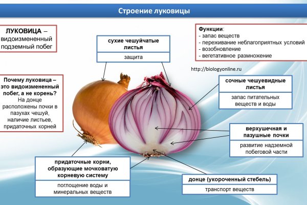 Рабочие ссылки на блэк спрут